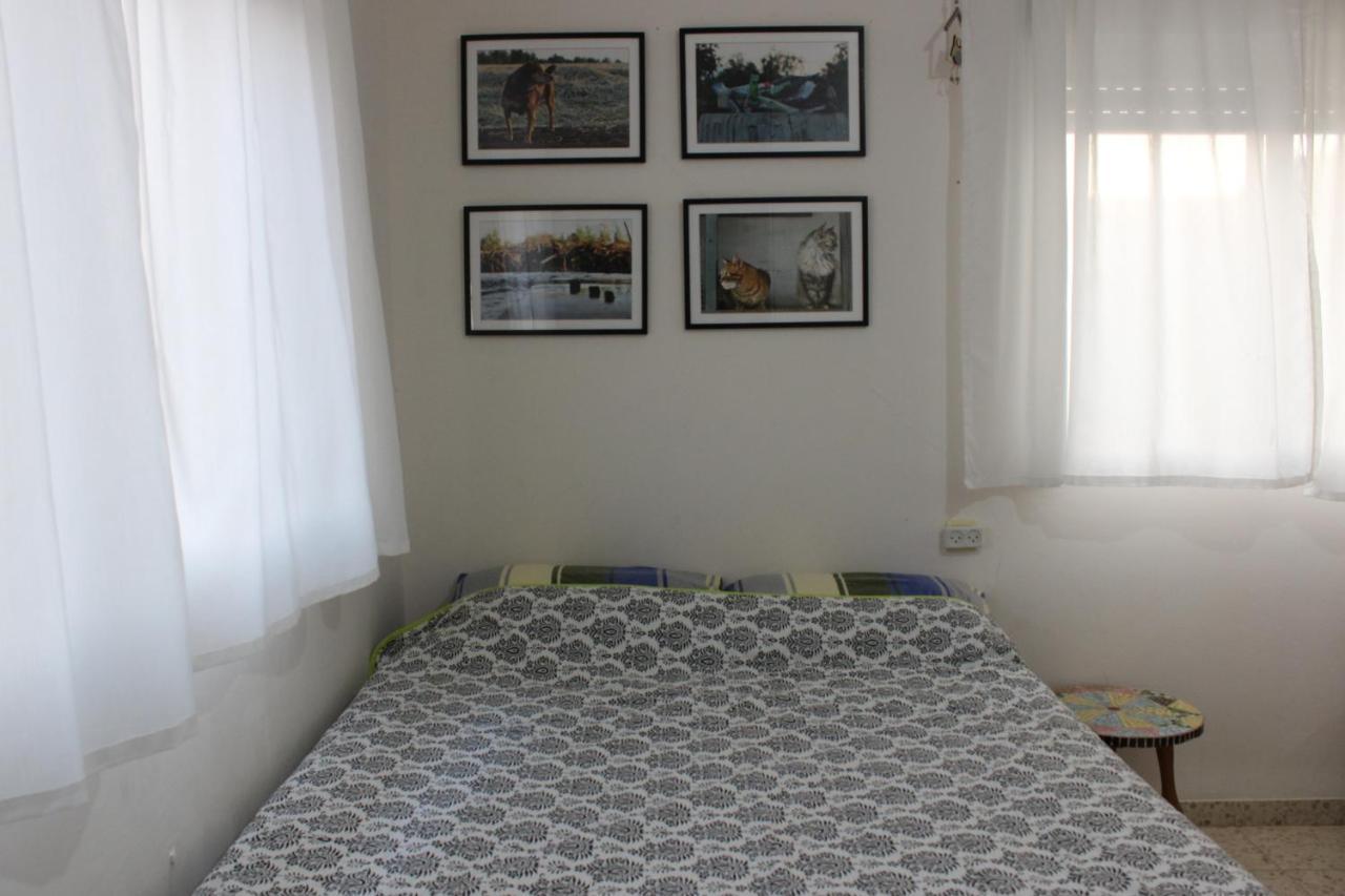 דירות שדמות דבורה Chez Rothman Sublet מראה חיצוני תמונה