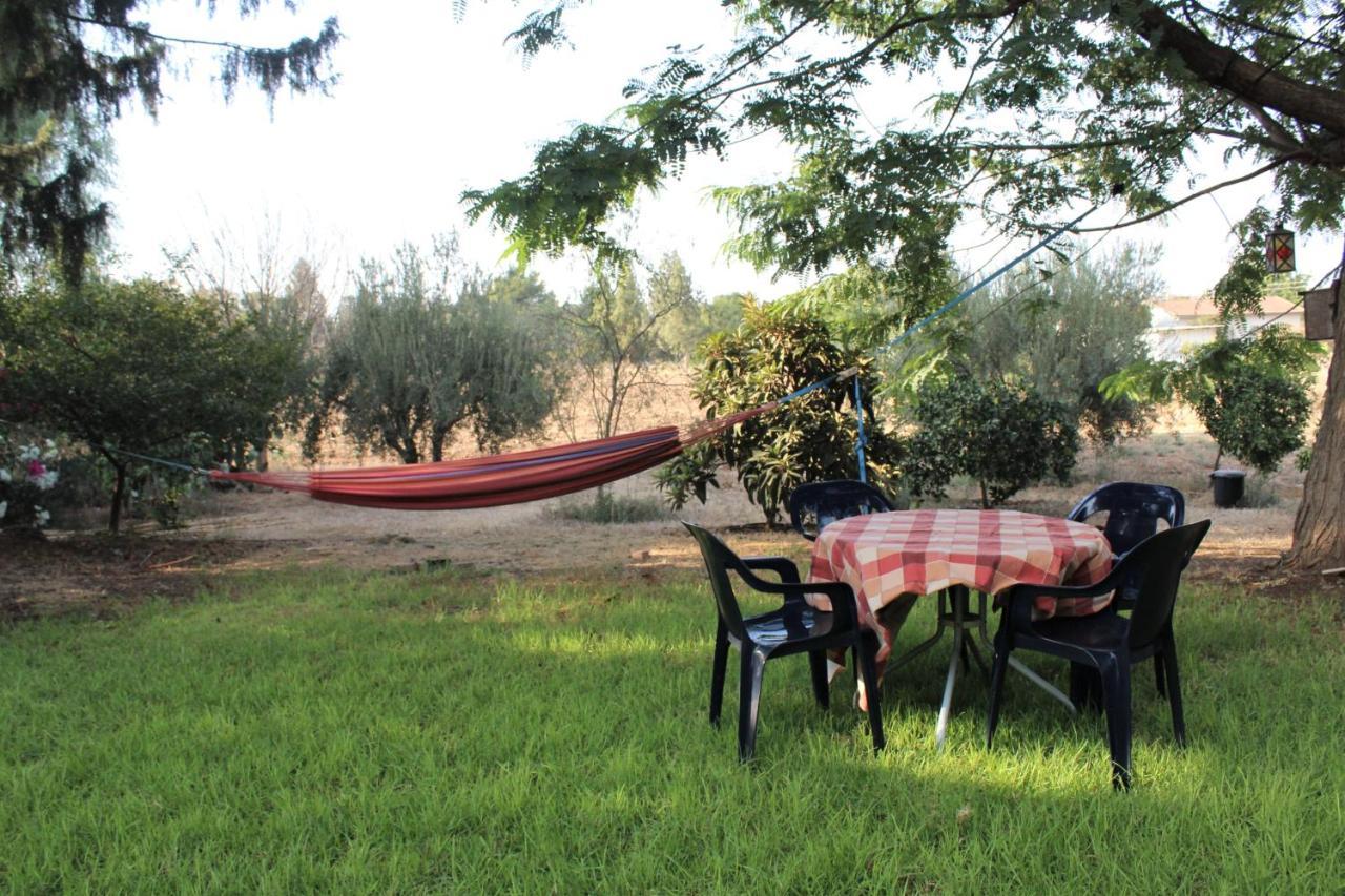 דירות שדמות דבורה Chez Rothman Sublet מראה חיצוני תמונה