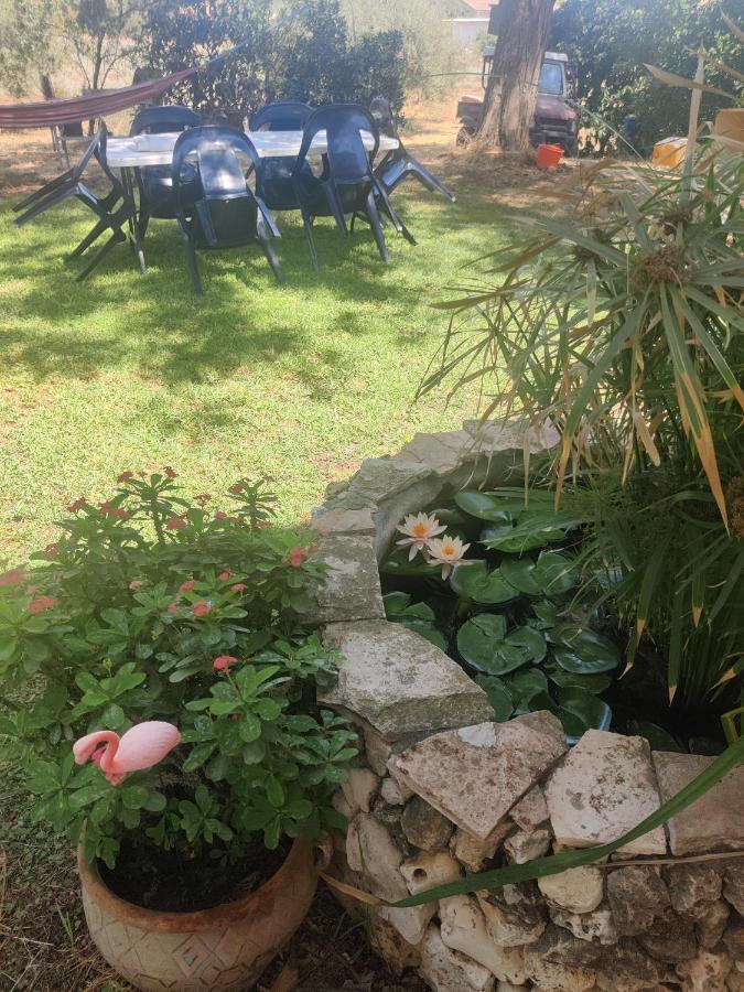 דירות שדמות דבורה Chez Rothman Sublet מראה חיצוני תמונה